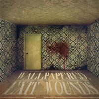 exit wounds hw