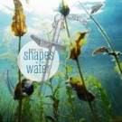 shapesonthewater_bookclub_200x200