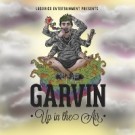 garvin_up_in_the_air_200x200