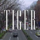 tiger_200x200
