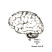 minds canvas