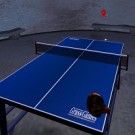 table_tennis_pro_icon