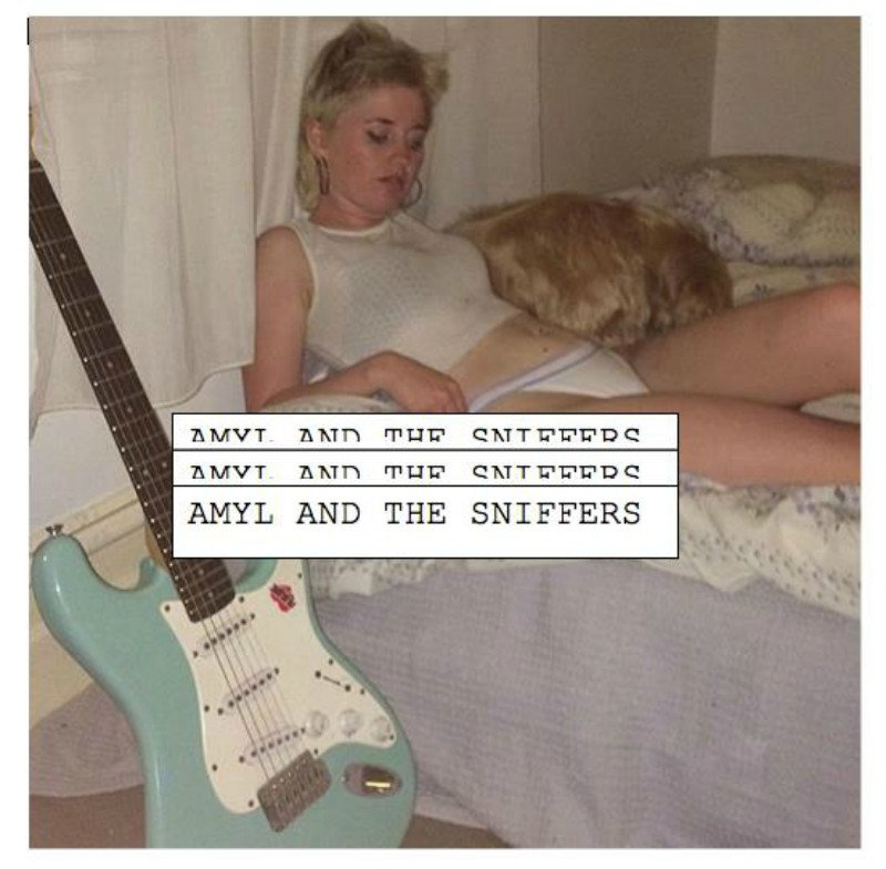 Amyl and the Sniffers: Giddy Up.